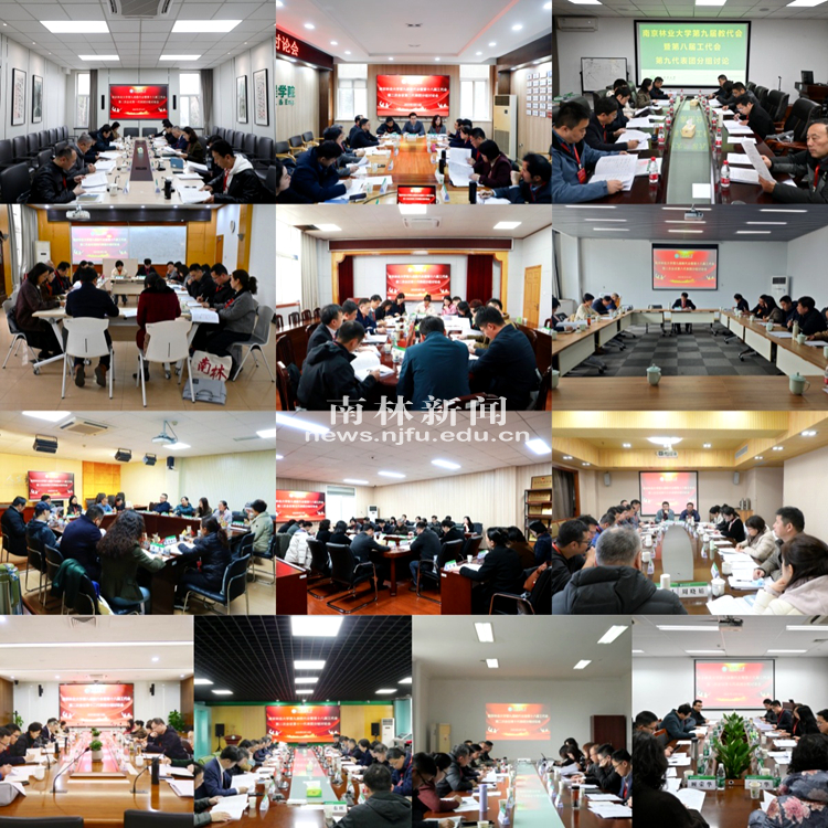 微信图片_20250314223042_副本